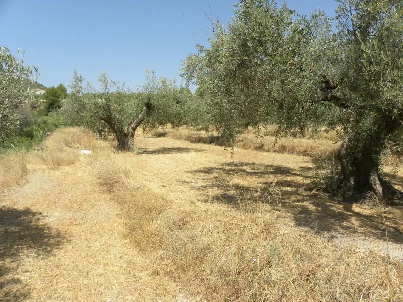 Terreno rustico in vendita a Camino Picardias, imagen 6