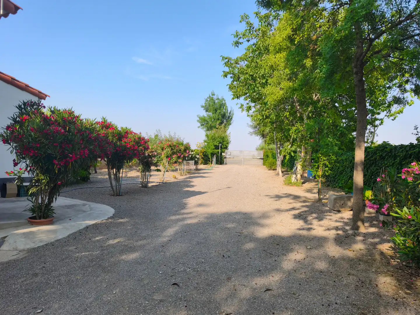 Finca rústica en venda en Anglesola amb Calefacció, Jardí privat i Alarma
