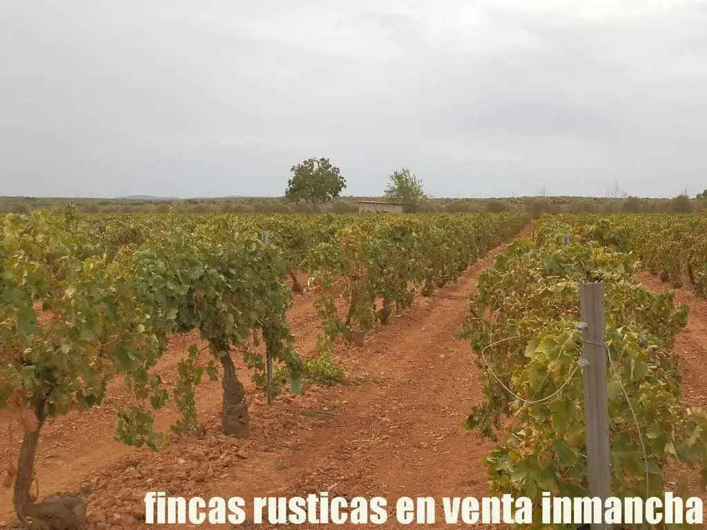Grundstücke und Bauplätze zum Verkauf in Malagón, imagen 14