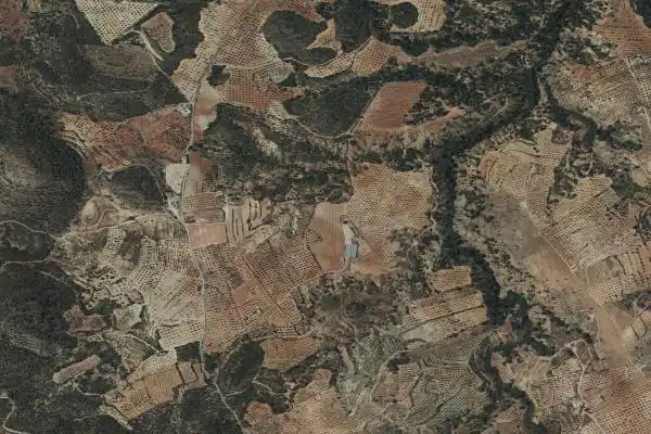 Finca rústica en venta en Cehegín