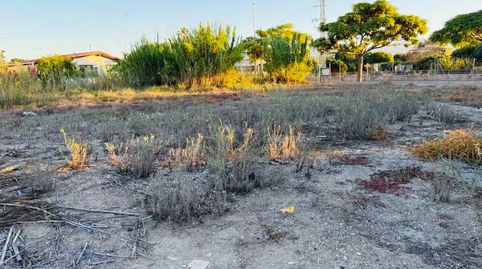 Photo 2 of Industrial land for sale in Bellreguard, Valencia
