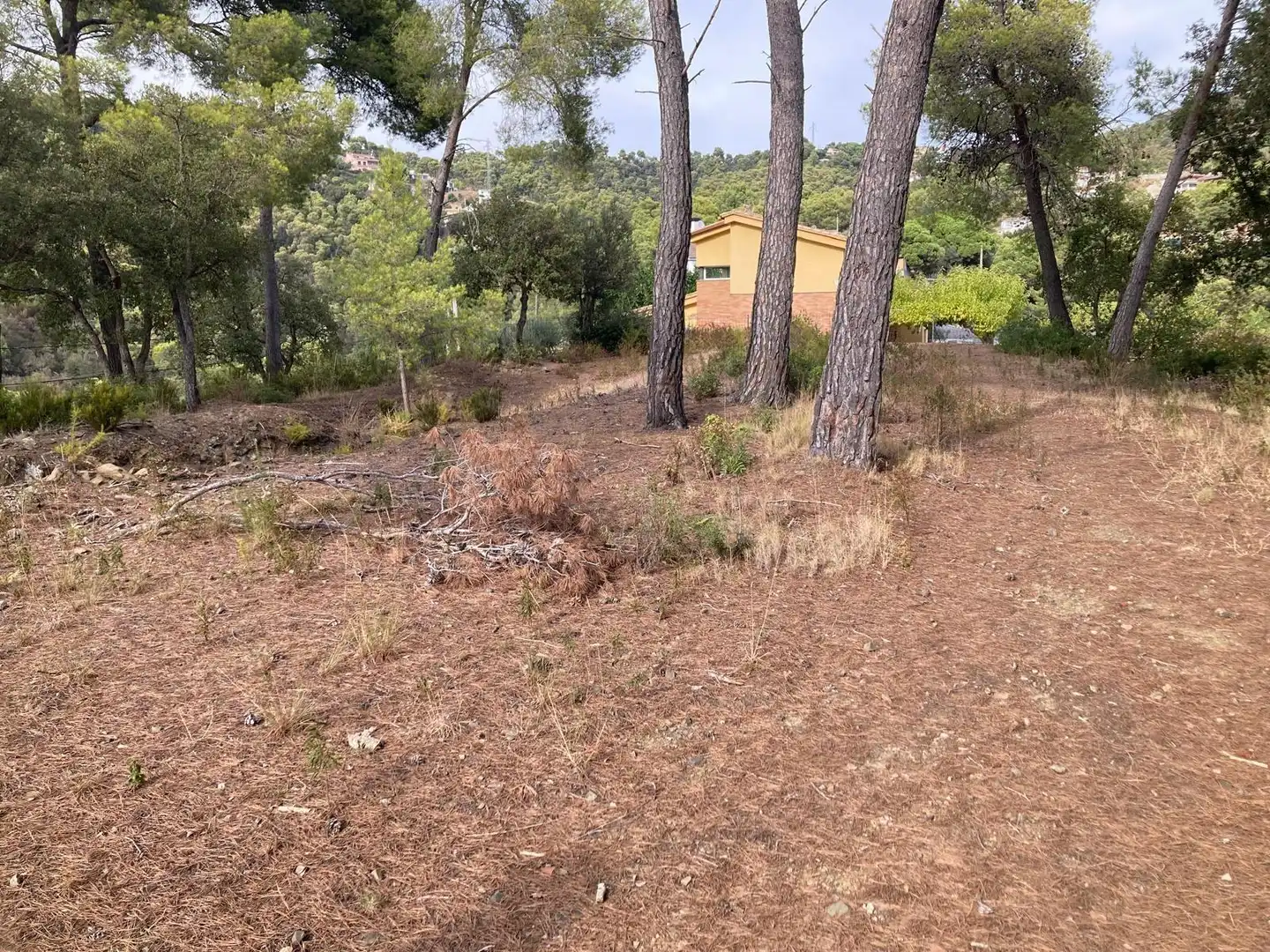 Residential land for sale in Carrer Carrer Lligabosc, imagen 3