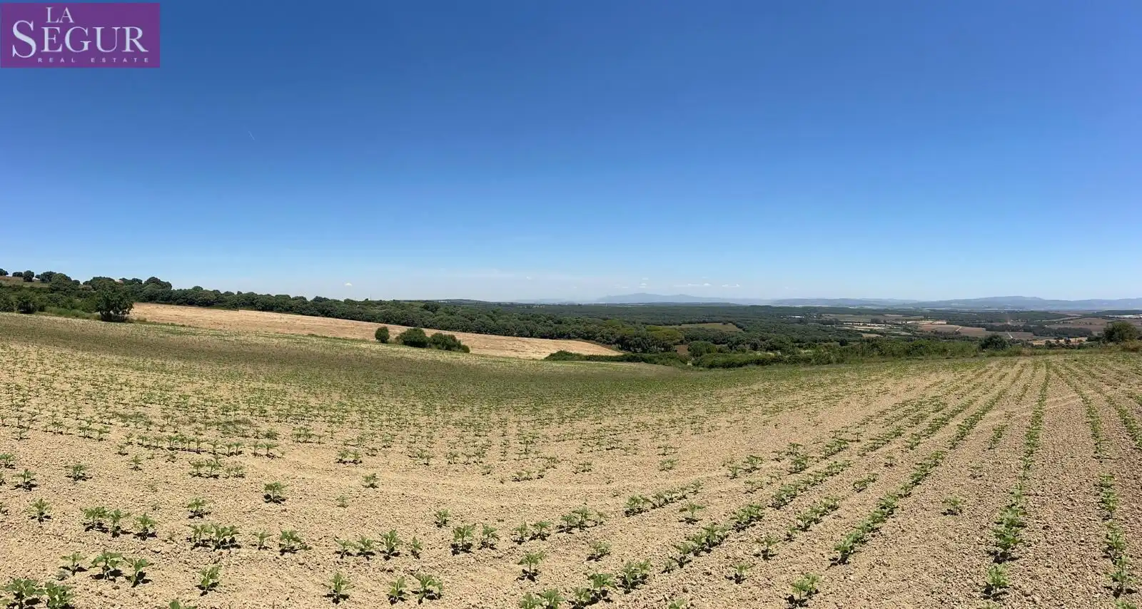 Terreni e lotti in vendita a Vejer, imagen 6