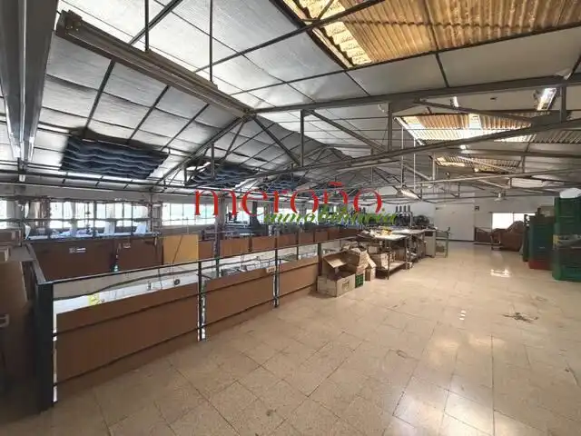 Nau industrial de lloguer en Elche ciudad