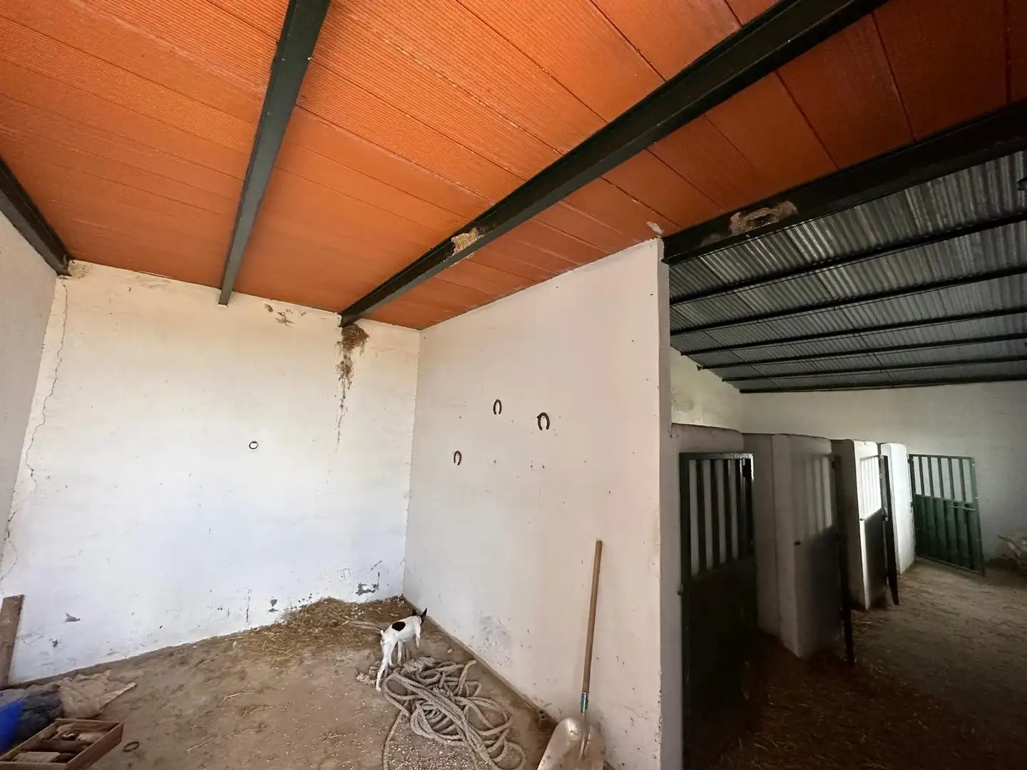 Terreni e lotti in vendita a Villanueva de la Serena, imagen 6