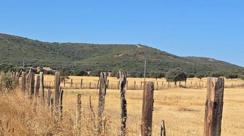 Foto 5 de Finca rústica en venda a Los Yébenes, Toledo
