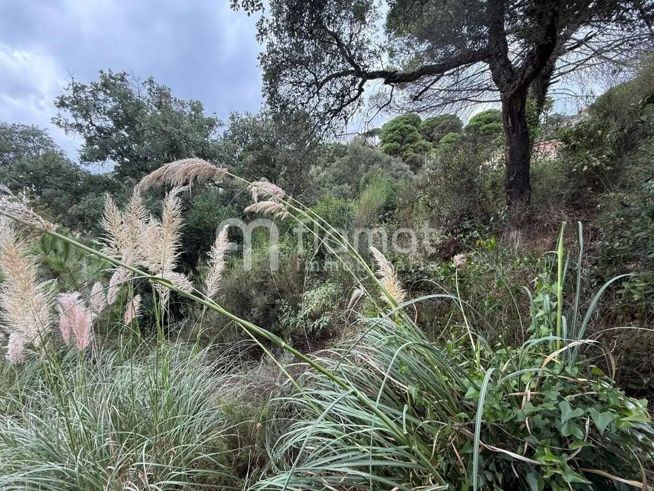Terrenos y solares en venta en Carrer Pluto, imagen 8