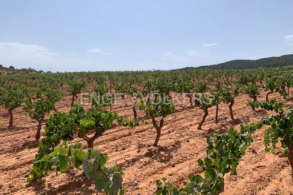 Lands and plots for sale in Requena, imagen 43