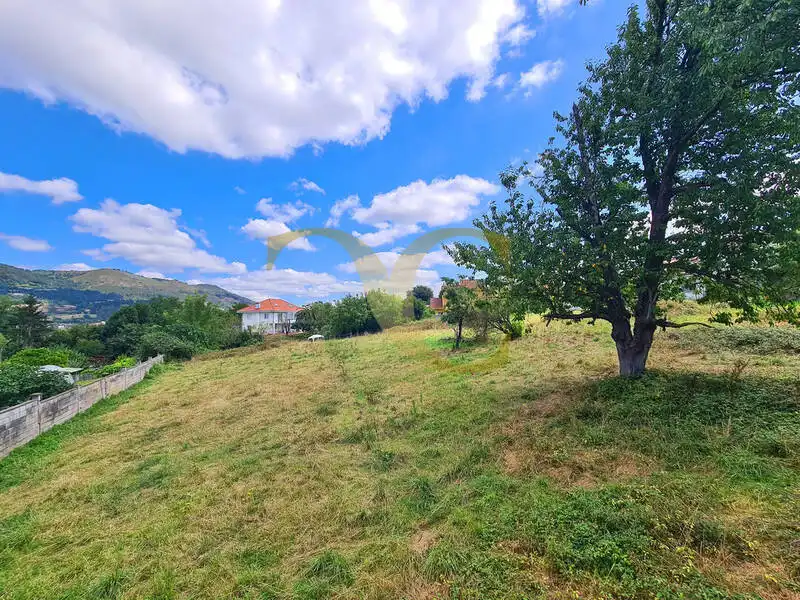 Terreny residencial en venda a El Monticu de Olivares, imagen 9