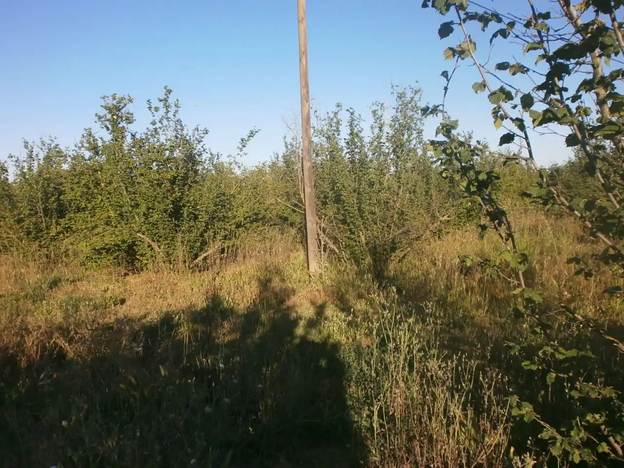 Grundstücke zum Verkauf in Vilallonga del Camp