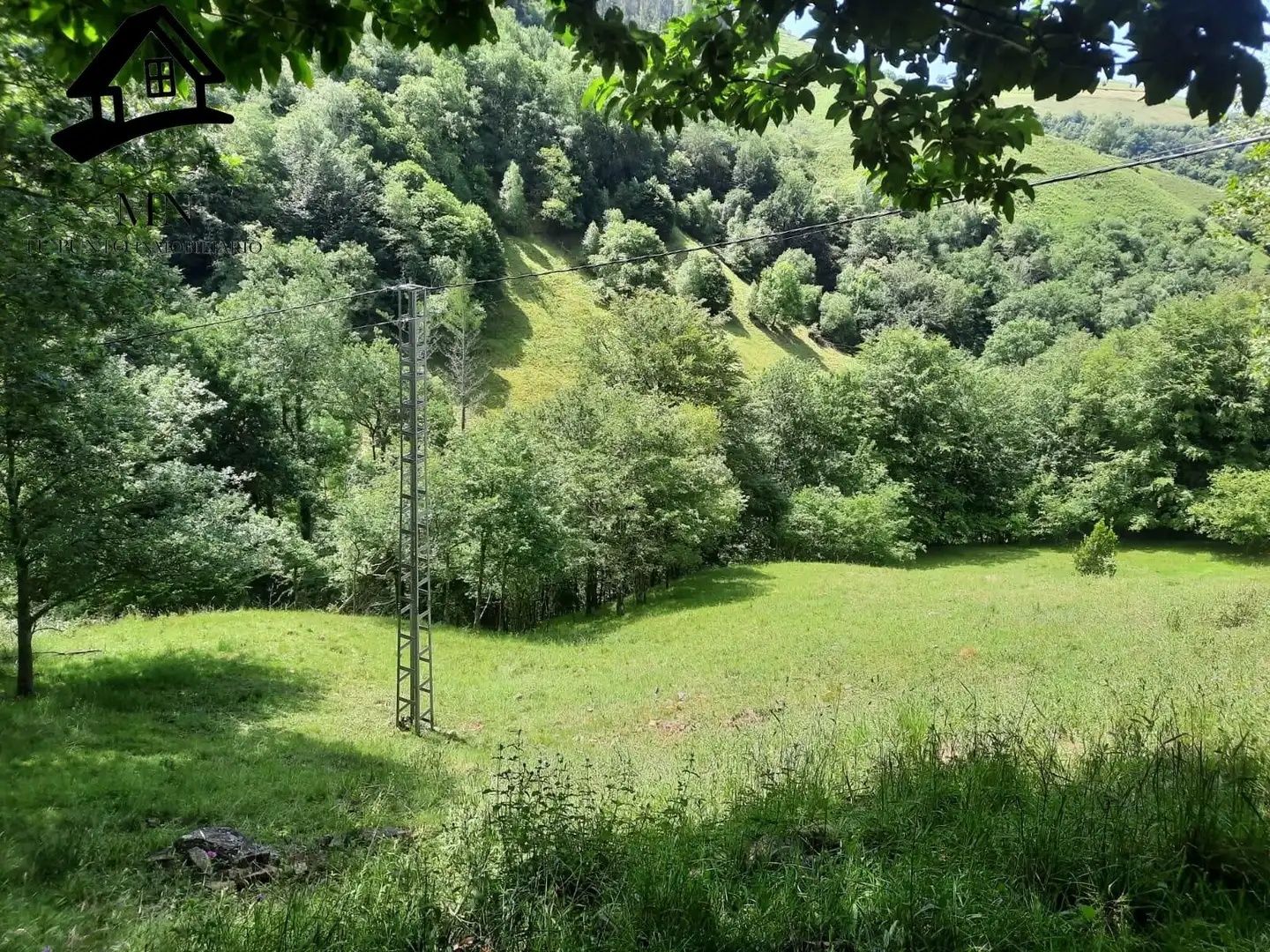 Country homes for sale in Selaya