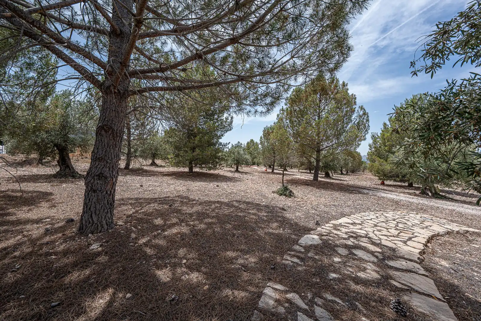 Finca rústica en venda en Biar amb Calefacció, Jardí privat i Terrassa