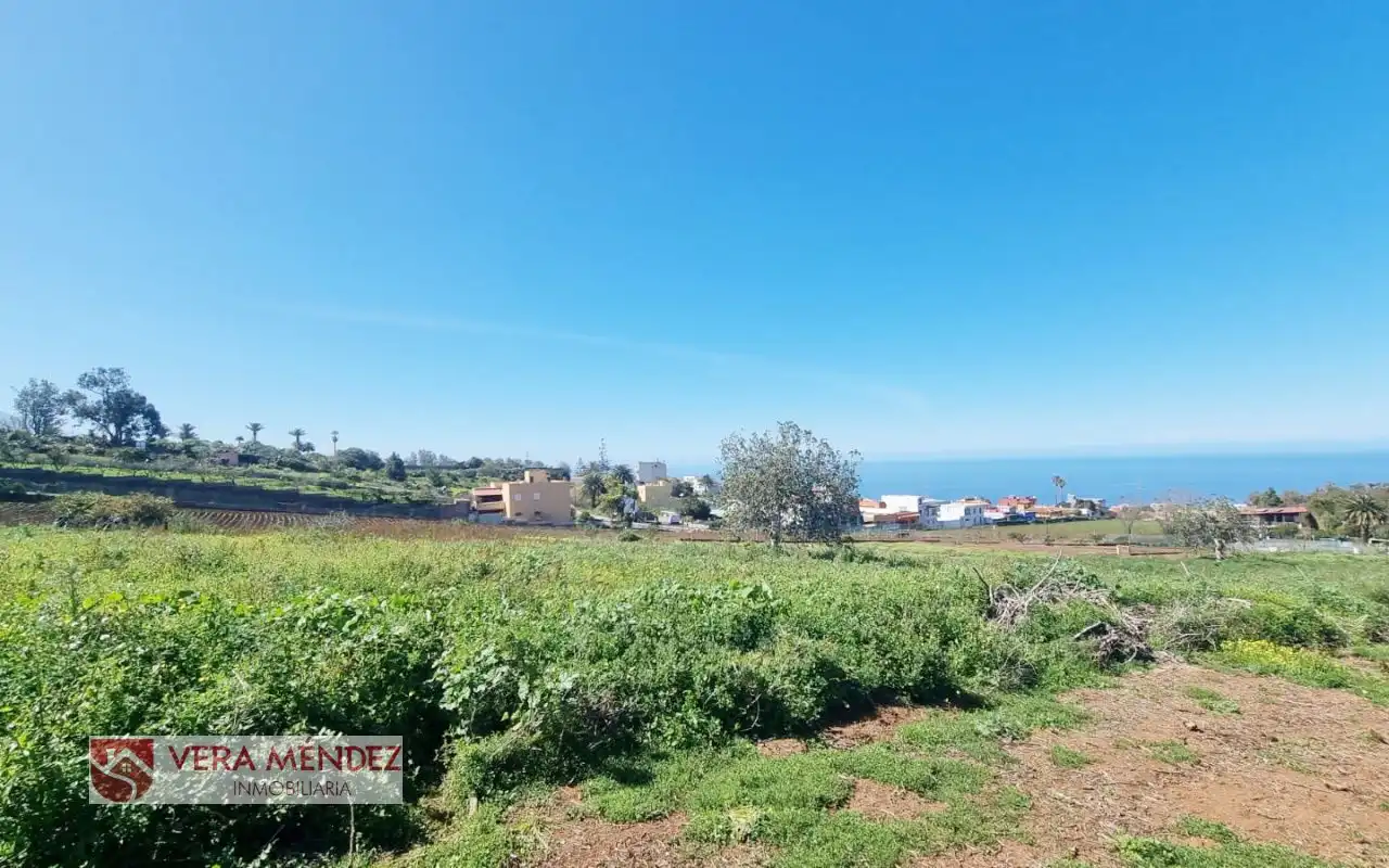 Finca rústica en venta en Tacoronte