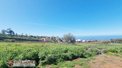 Foto 3 de Finca rústica en venta en Tacoronte - Los Naranjeros, Tacoronte