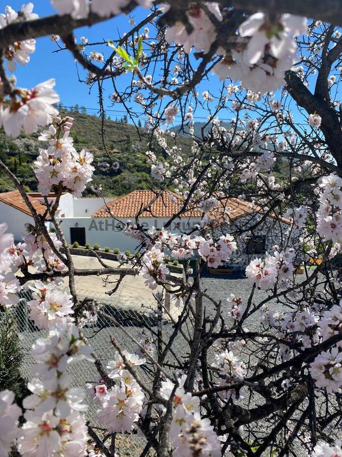 Exterior view of House or chalet for sale in Guía de Isora