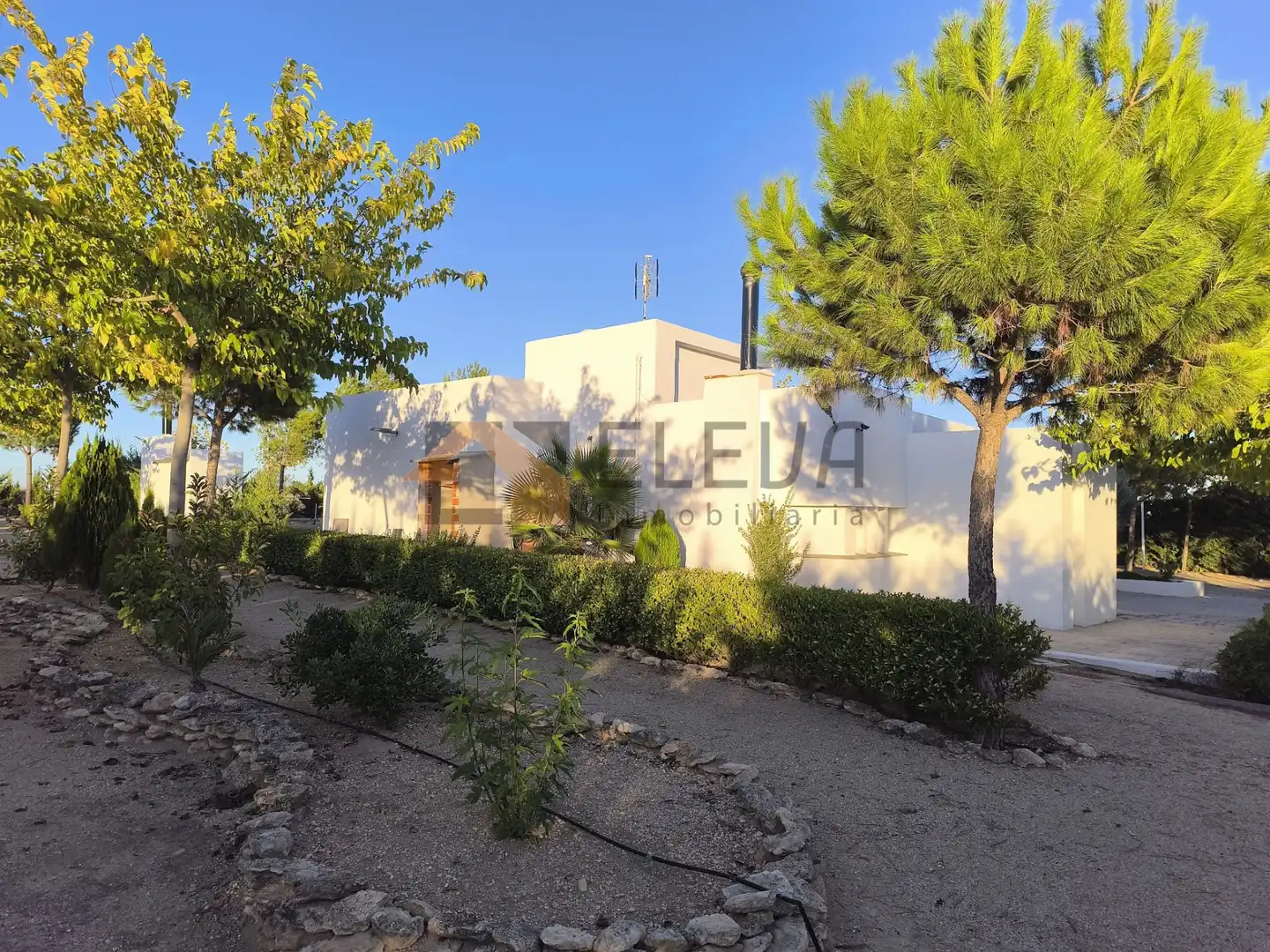Vista exterior de Finca rústica en venta en La Roda con Jardín privado