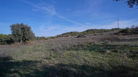 Finca rústica con maset, immagine 4