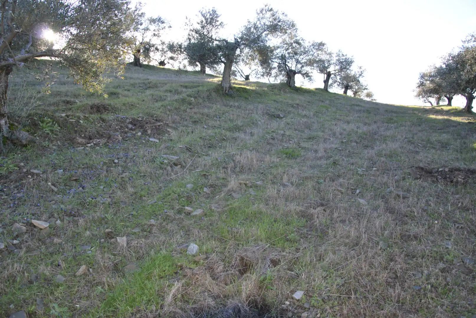 Terreno en venta en La Pesga 