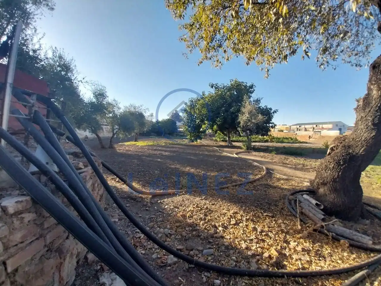 Lands and plots for sale in Belmez, imagen 16