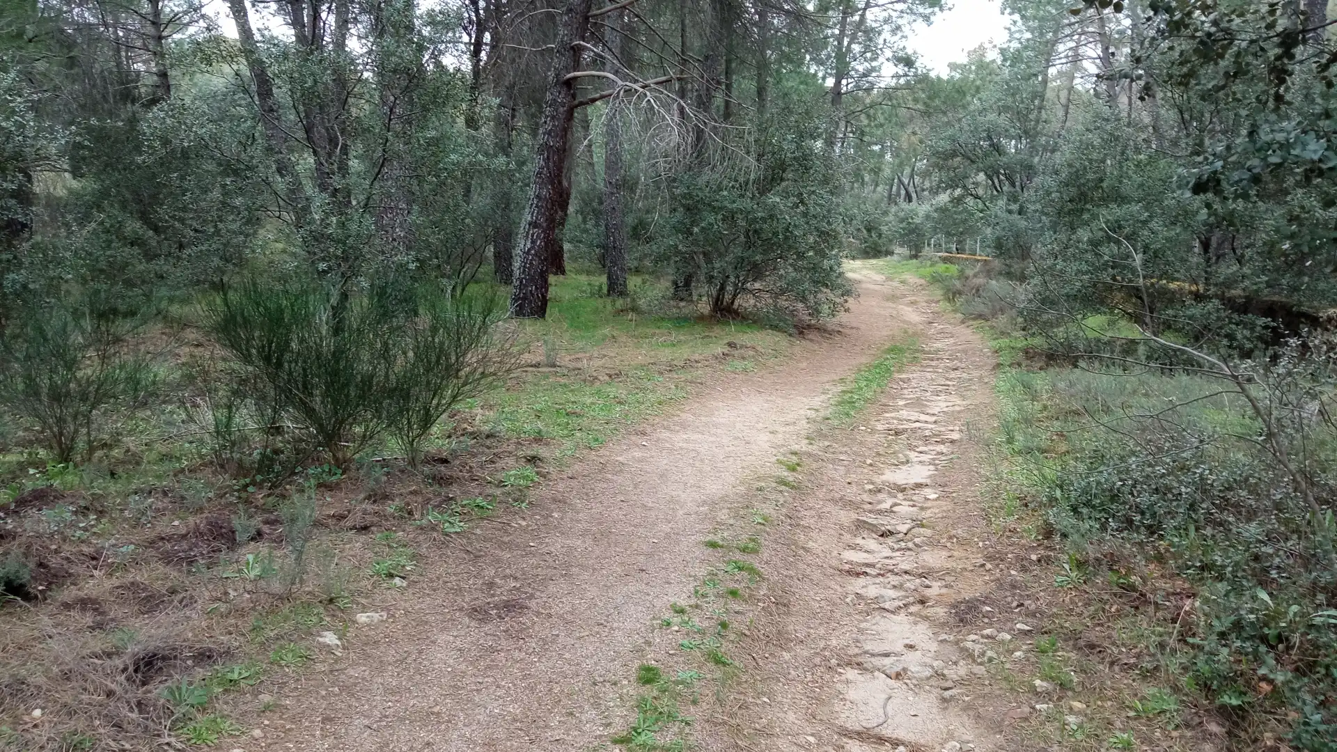 Terreny rústic en venda a Sotillo de la Adrada, imagen 5