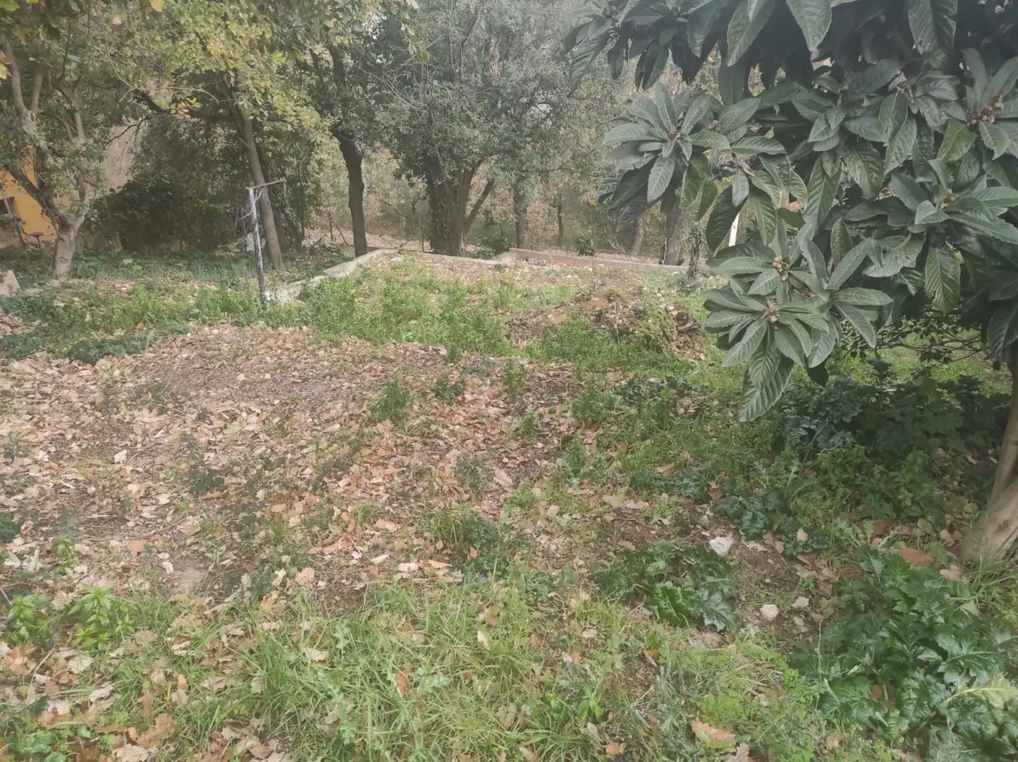 Residencial en venta en Riells i Viabrea