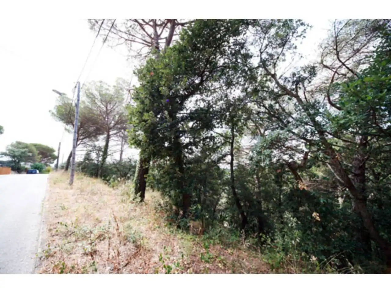 Rural land for sale in Junta de la Compensación, imagen 4