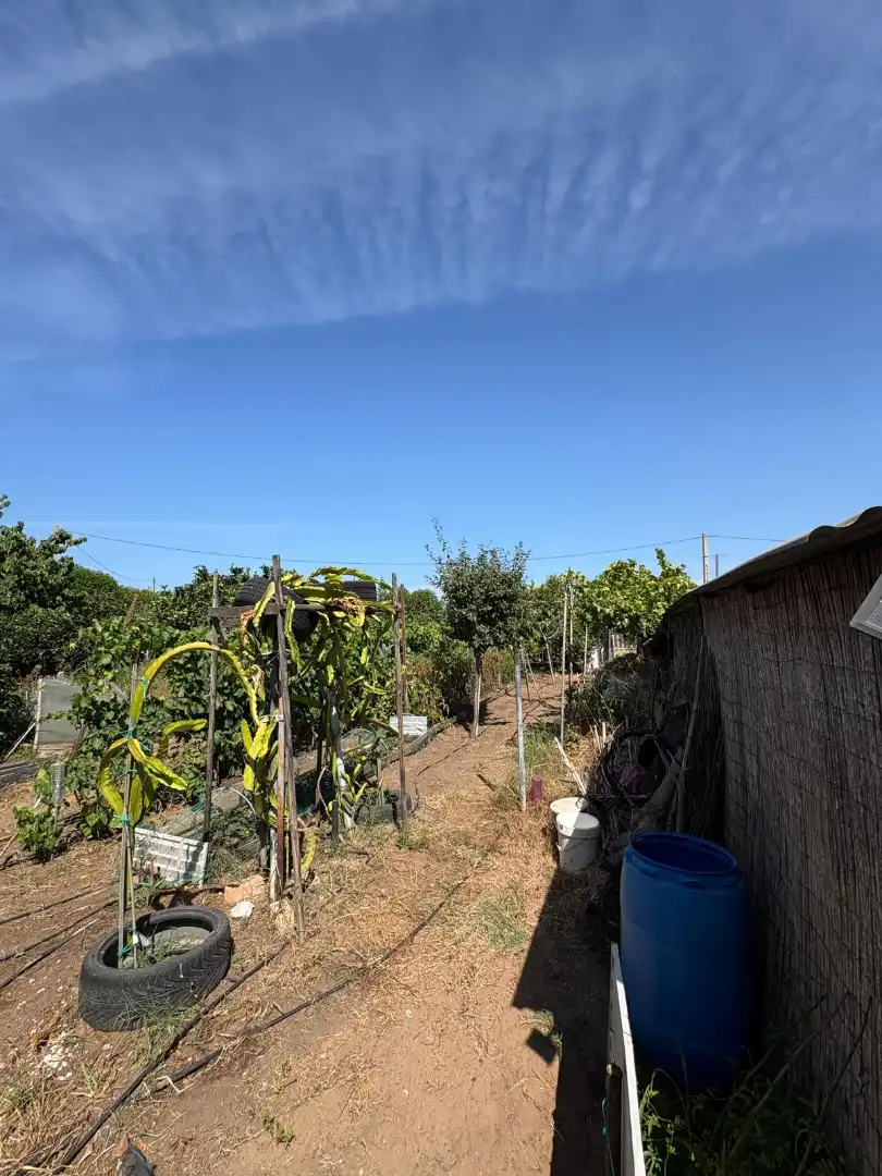 Finca rústica en venta en Chipiona con Amueblado
