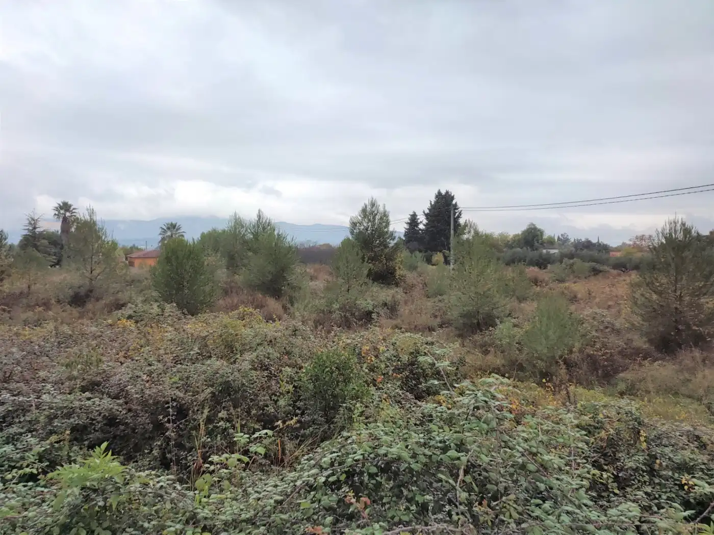 Terrain rustique à vendre à El Llombo, imagen 2