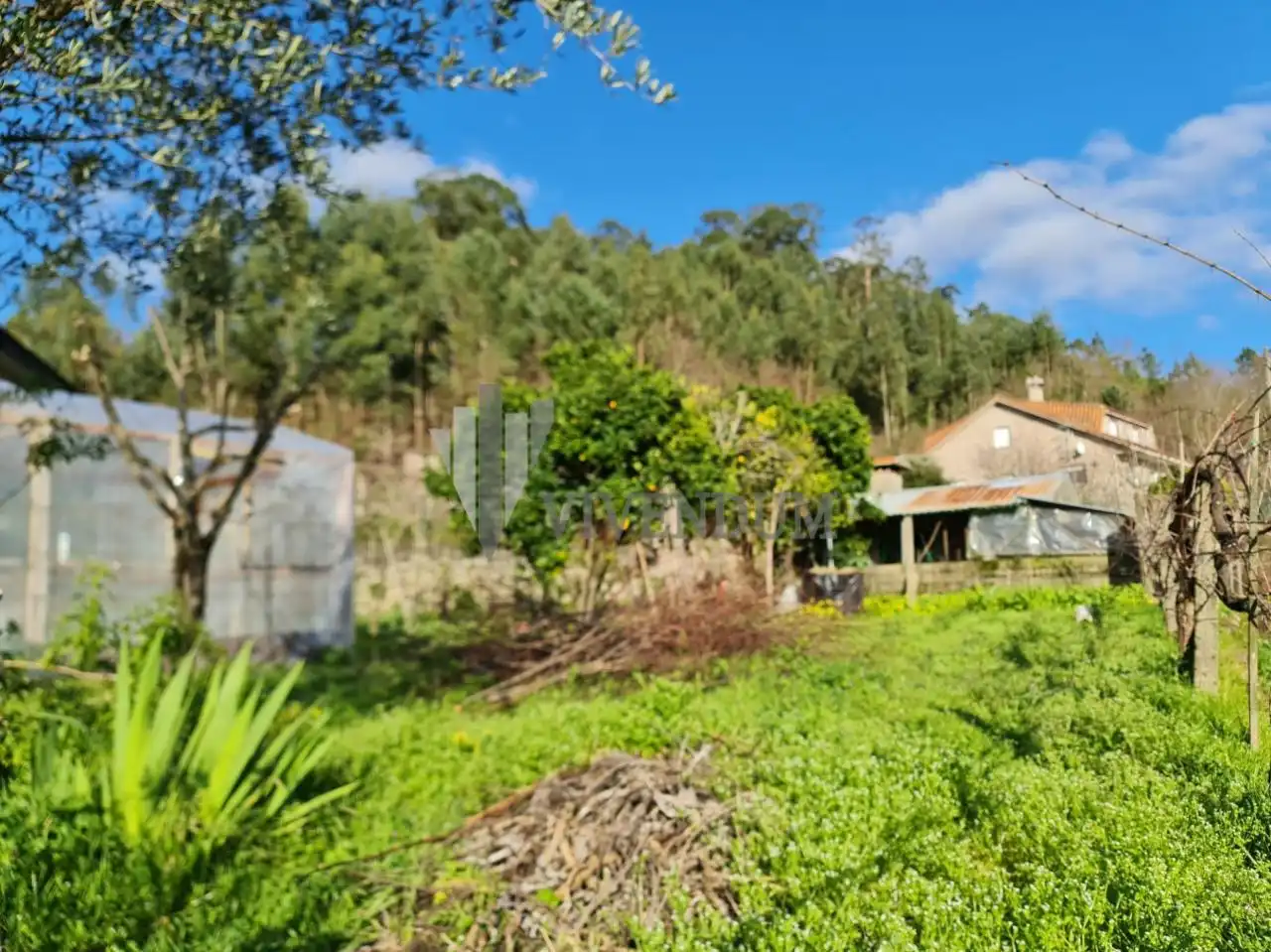 Terreno residenziale in vendita a A Cañiza, imagen 11