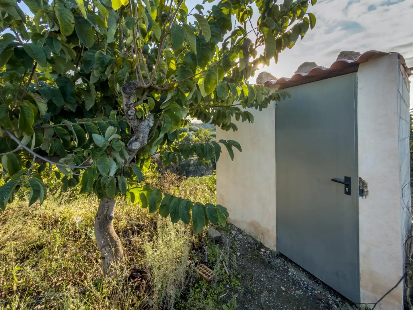 Vista exterior de Finca rústica en venda en Los Guájares amb Terrassa i Traster