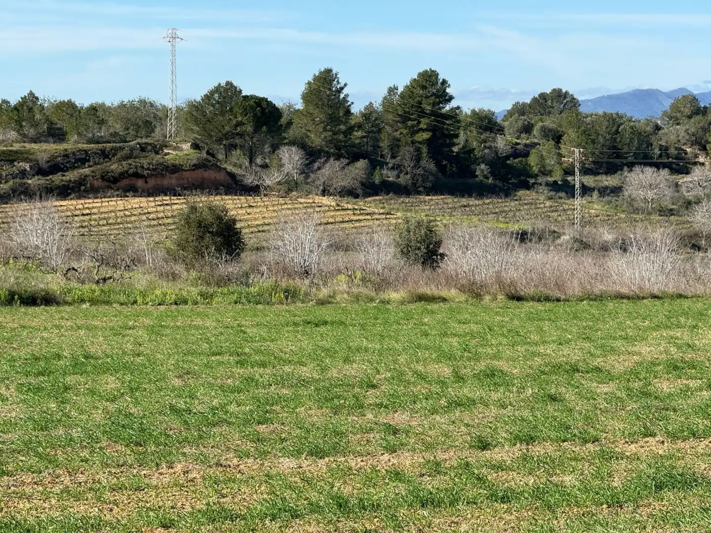Finca rústica en venda a Puigpelat