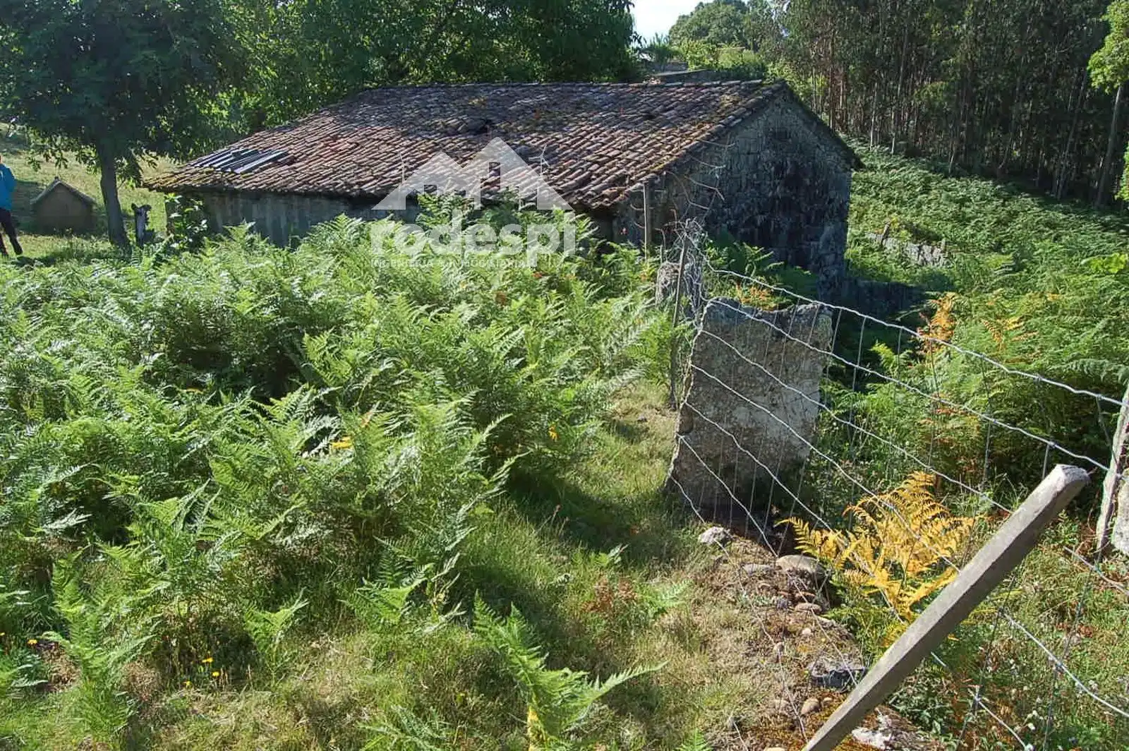 Terreny rústic en venda a Salvaterra de Miño