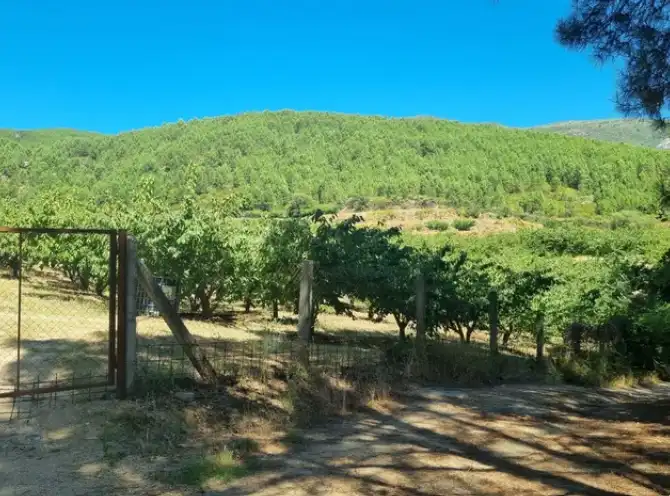 Terreni e lotti in vendita a Mombeltrán, imagen 2