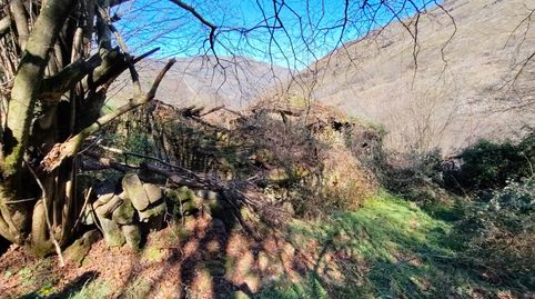 Photo 4 of Commercial properties for sale in El Hortigal, Peñamellera Baja, Asturias