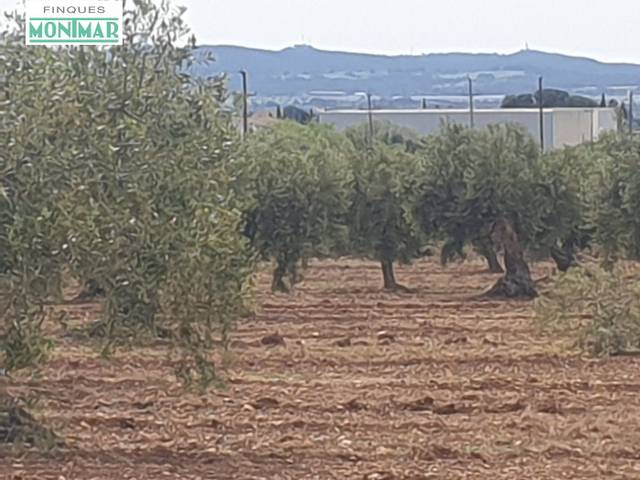 Finca rústica en Venta en Sant Jaume dels Domenys