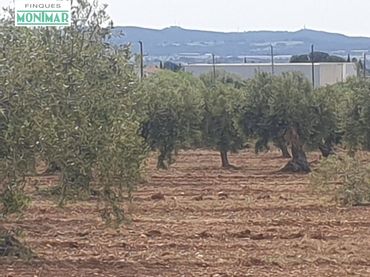 Casa rústica en venda a Sant Jaume dels Domenys