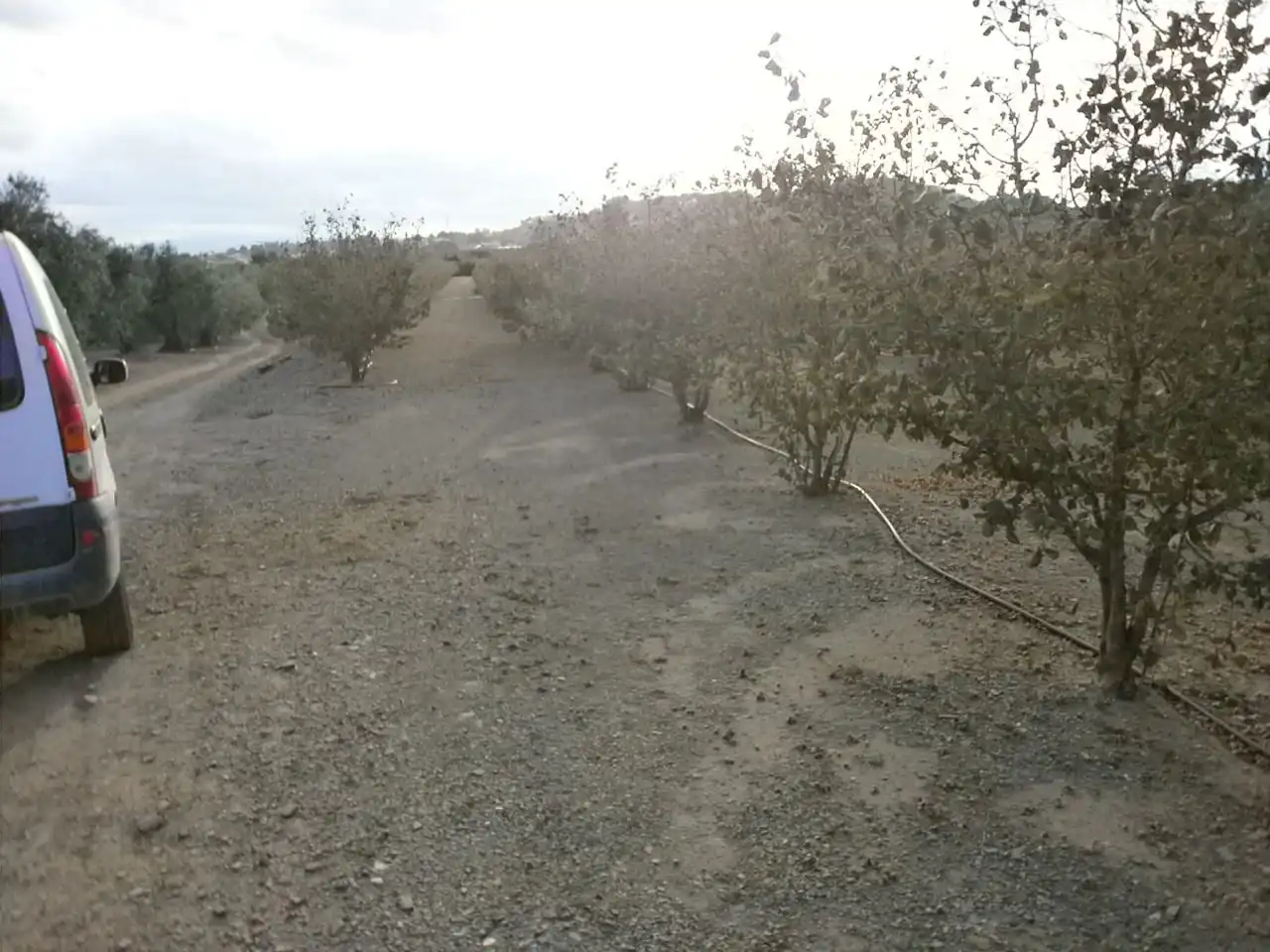 Rural land for sale in Castellvell del Camp, imagen 5