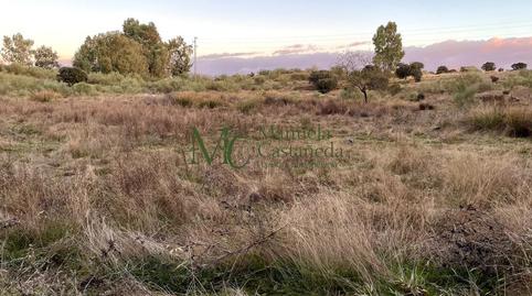 Foto 4 de Finca rústica en venta