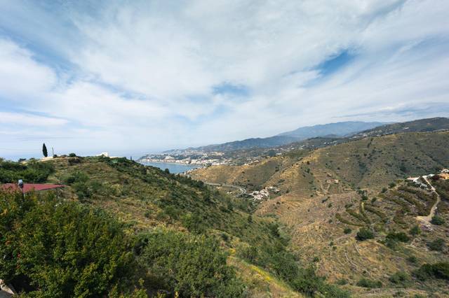 Finca rústica en Venta en Calle PARAJE EL TINTO-POL 1-PAR 85 en Ítrabo