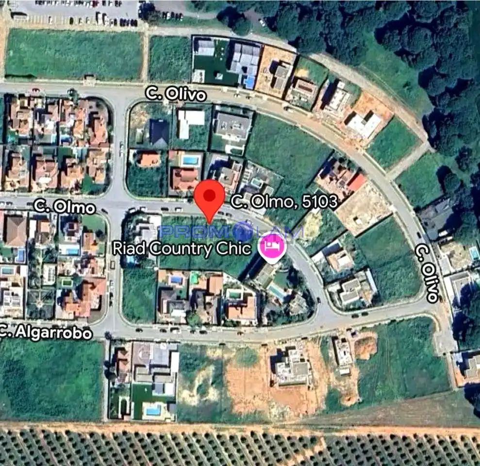 Lands and plots for sale in Calle Olmo
