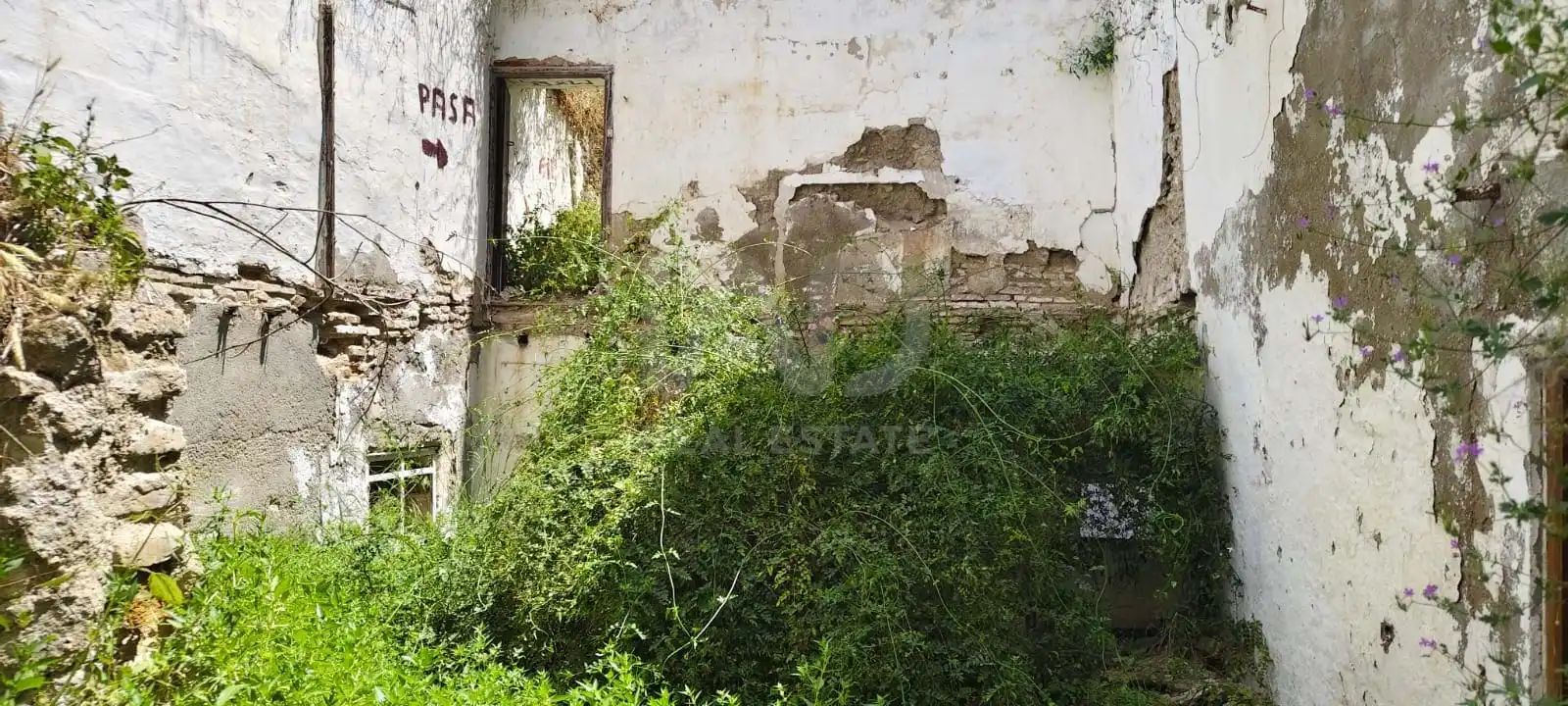 Vista exterior de Finca rústica en venta en Écija