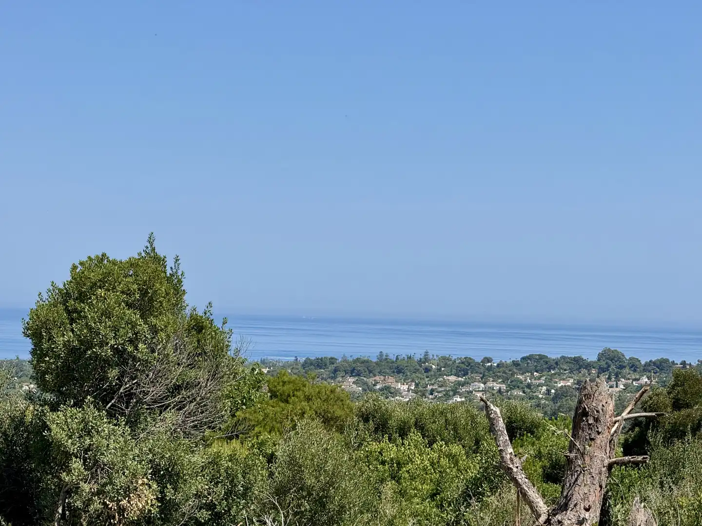 Terrenys i solars en venda a Sotogrande Alto