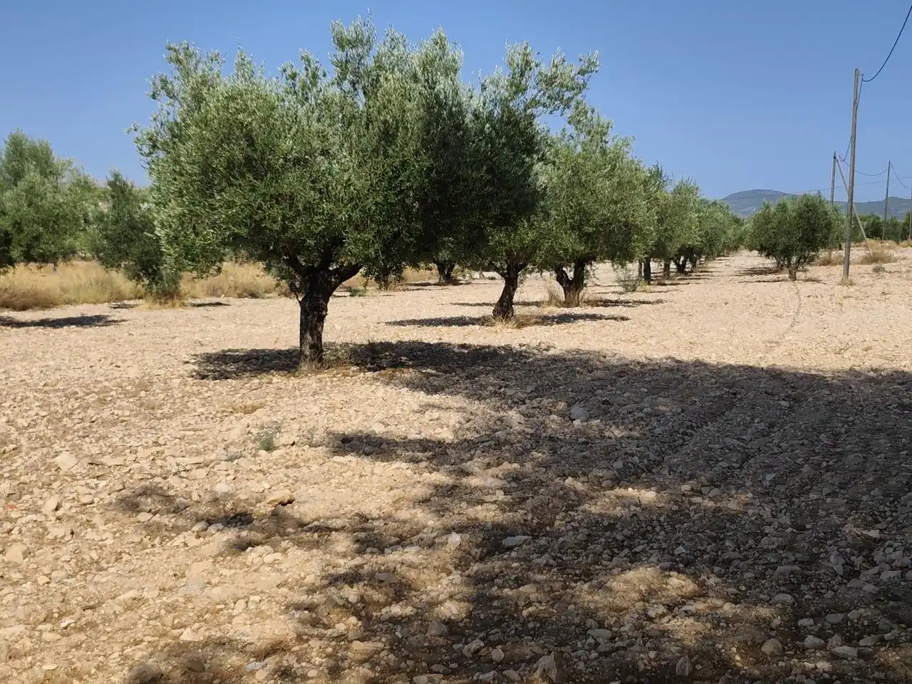 Terreno rustico in vendita a Castalla, imagen 28