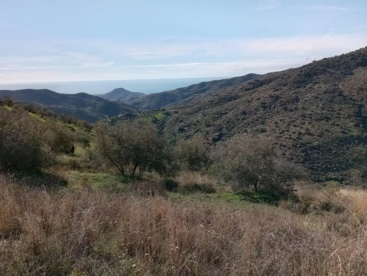 Exterior view of Land for sale in Málaga