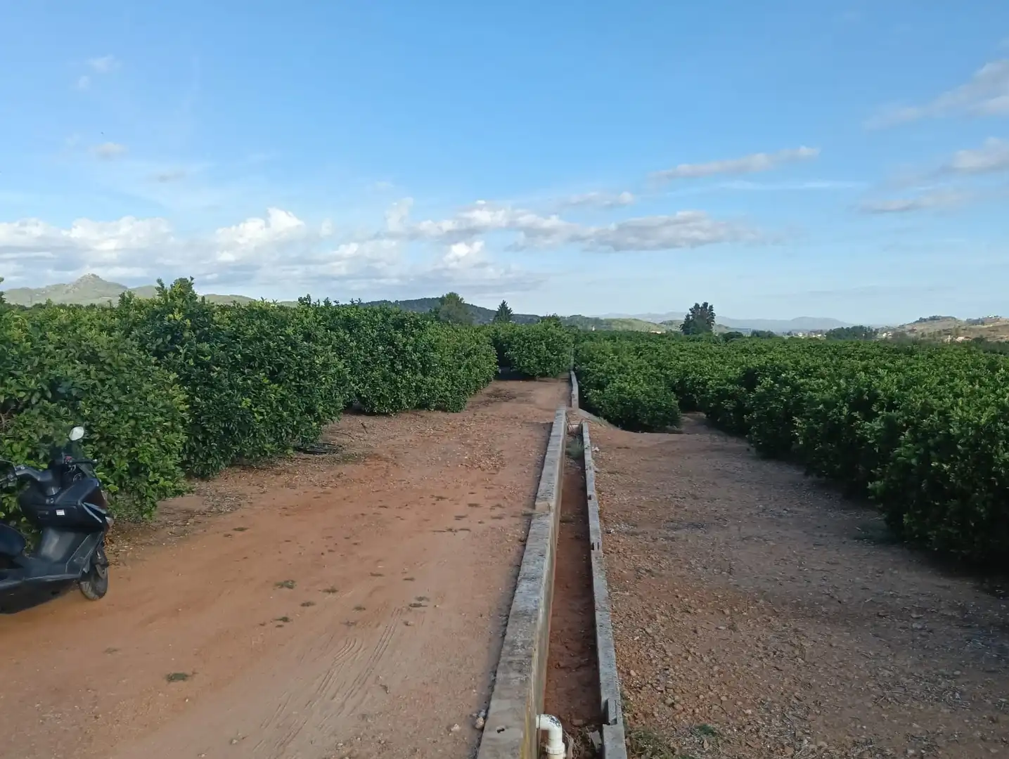 Terreny rústic en venda a Llocnou d'En Fenollet, imagen 2