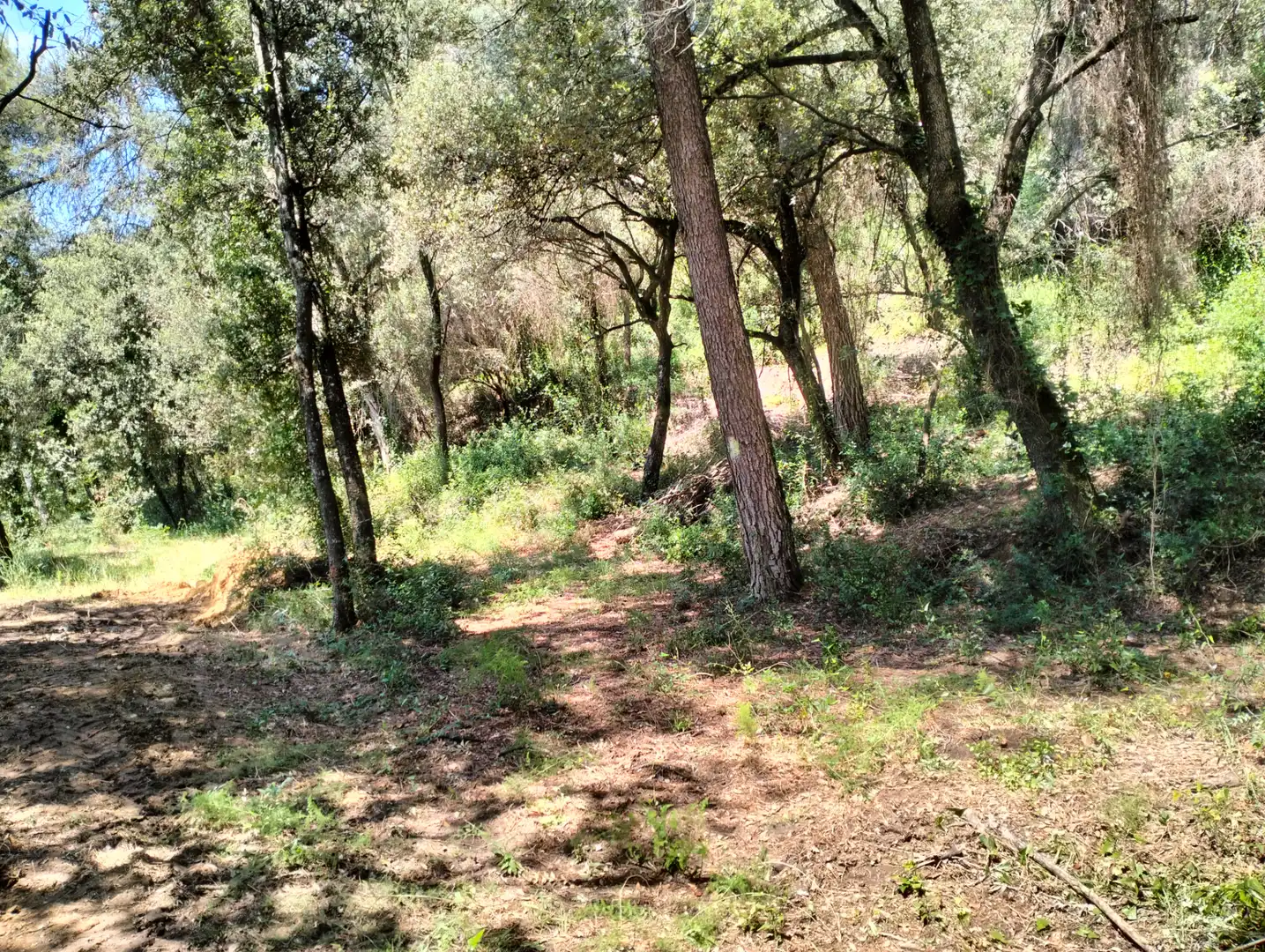 Casa o xalet en venda en Cervià de Ter amb Jardí privat, Terrassa i Balcó