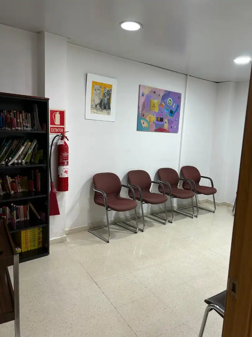 Local de alquiler en Llinars del Vallès