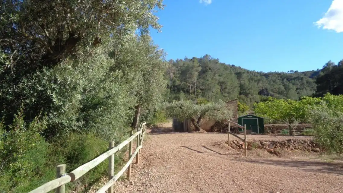 Terreno rustico in vendita a PESOLS
