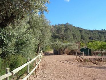 Terreny rústic en venda a PESOLS