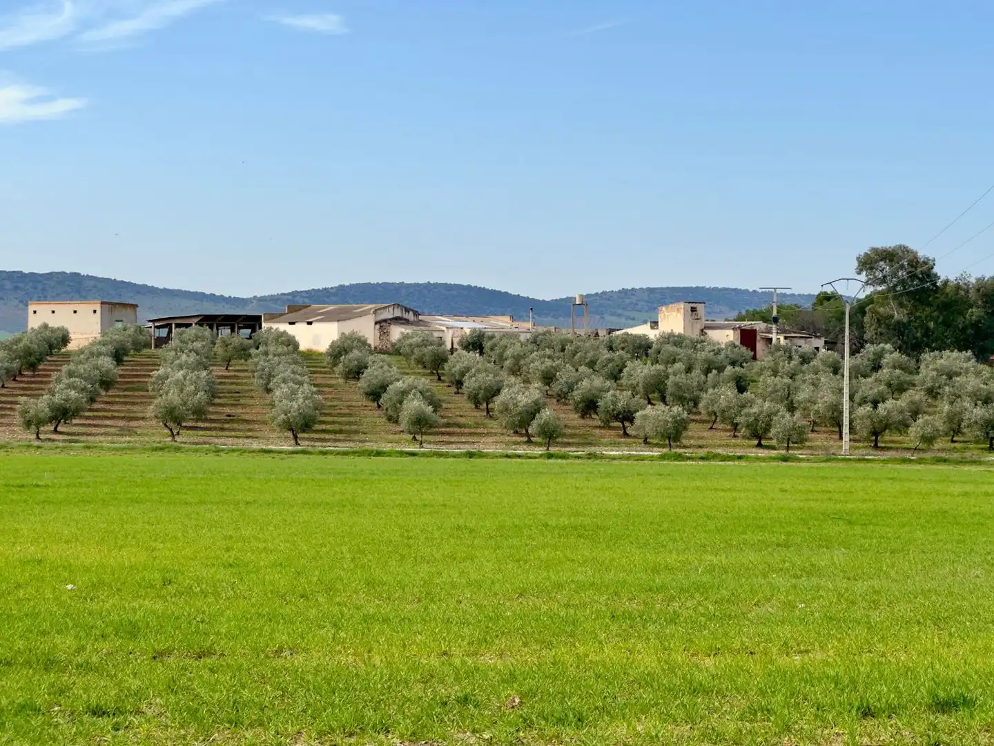 Casa rústica amb terrassa en venda a Torrenueva, imagen 53